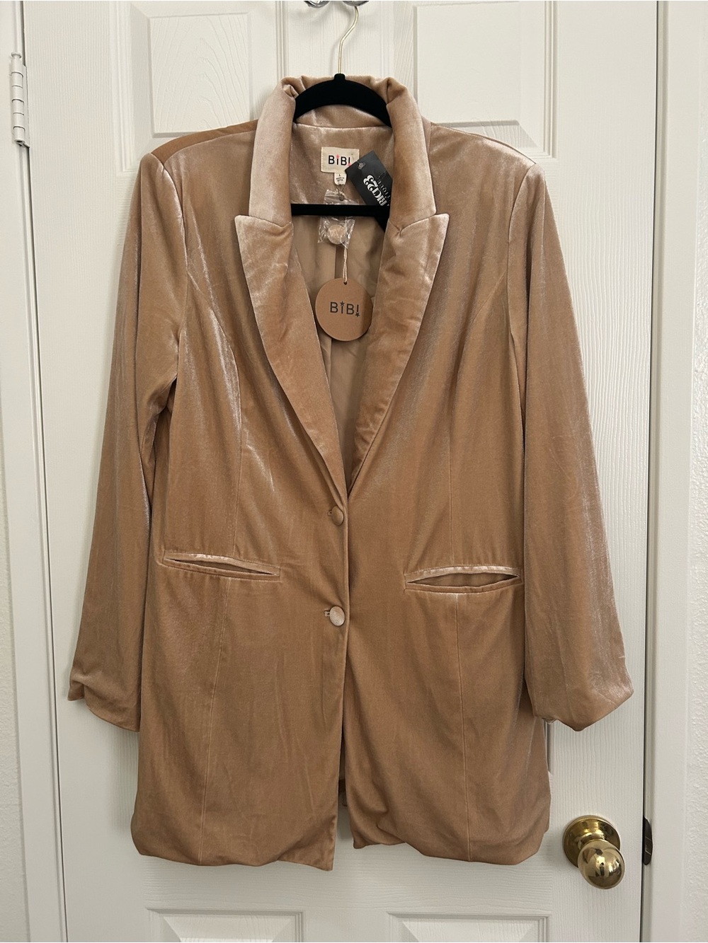 BiBi Champagne Velvet Long Blazer | Size Large - Picture 5 of 8
